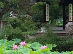 -上海醉白池公园