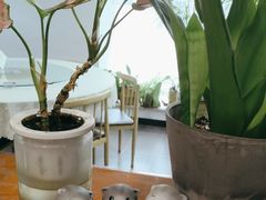 -谭家四道菜(三元桥店)