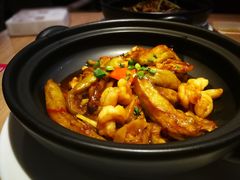 -南枝记
