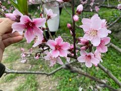 -贵阳市花溪国家城市湿地公园