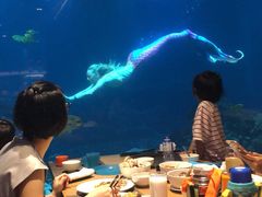 -海棠湾洲际-涛·海底餐厅·美人鱼·自助餐·海底隧道