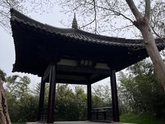 -蜀冈西峰生态公园