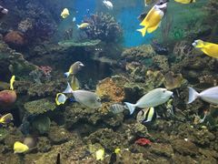 -常州海昌海洋探索馆