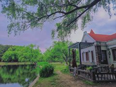 -上海共青森林公园