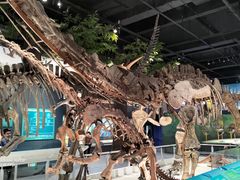 -国家自然博物馆