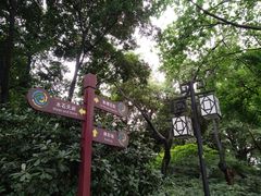 -成都市活水公园