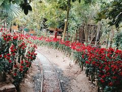 -呀路古热带植物园