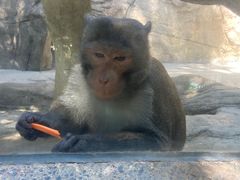 -泉州海丝野生动物世界