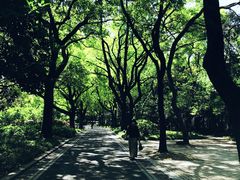 -御花园·粤菜·海鲜火锅(中山公园店)