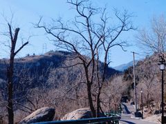 -白水寺森林公园