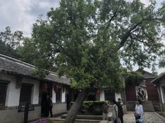 -牟氏庄园