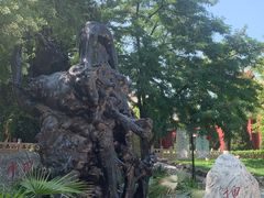 -大槐树寻根祭祖园