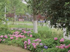 -金银湖国家城市湿地公园