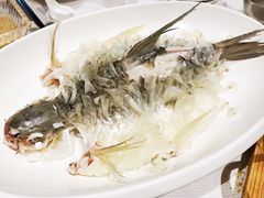 豉汁蒸苏丹鱼-新加坡海鲜共和(名胜世界圣淘沙海滨坊)