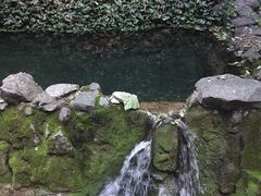 -四门塔风景区
