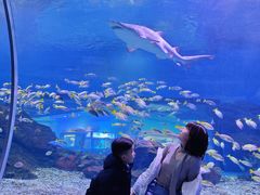 -海合安武汉极地海洋公园