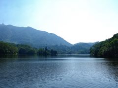 -深圳仙湖植物园