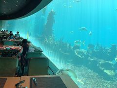 -海棠湾洲际-涛·海底餐厅·美人鱼·自助餐·海底隧道