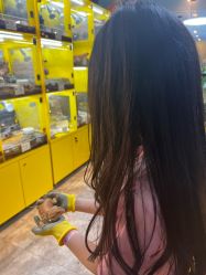 -神奇动物撸宠馆·羊驼·小浣熊·异宠(豫园店)