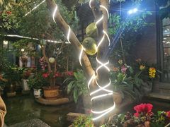 -海韵人家.海景花园经典云南菜(双廊店)