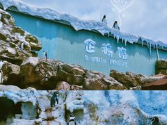 -珠海长隆海洋王国