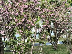 -东钱湖小普陀景区