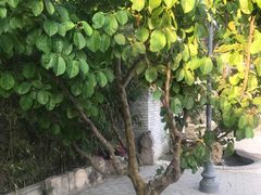 -长安上水缘度假庄园