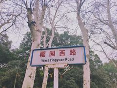 -武汉大学-樱园