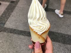 -城崎温泉 外七汤