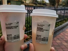-喜茶(迪士尼小镇DP店)