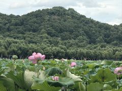 -印象西湖·最忆是杭州实景演出