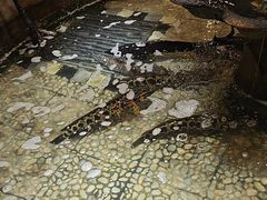 -万里闯关东铁锅炖菜馆(高新旗舰店)