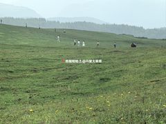 -乌蒙大草原