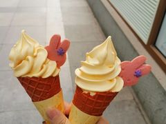 -麦当劳(石家庄北国店)