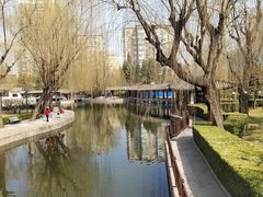 -团结湖公园
