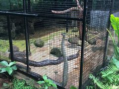 -海南热带野生动植物园
