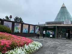 -济州岛泰迪熊博物馆