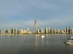 -武汉两江游览·夜游长江(汉口粤汉码头)