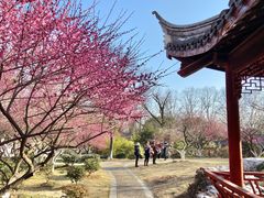 -采石矶景区