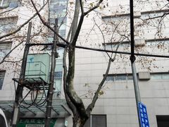 -上海交通大学医学院附属瑞金医院(总院)