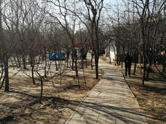 -1982农场