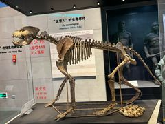 -北京周口店北京人遗址博物馆