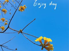 -火炉山森林公园