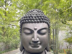 -杭州植物园