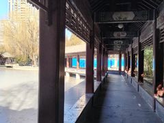 -团结湖公园