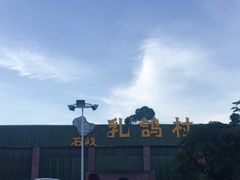 -石岐乳鸽村(南海第三分店)