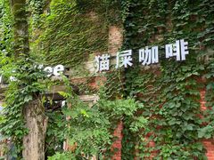 -猫屎咖啡(陶溪川店)