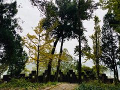 -金堂县云顶石城风景区