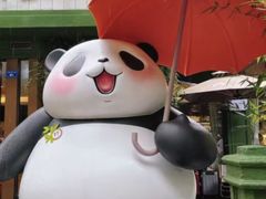 -轩客会(熊猫书店)