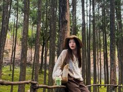 -玉苍山国家森林公园